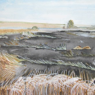 Whatipu Northern View